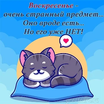 Воскресенье утро - прикольная картинка с котом Воскресенье утро - прикольная картинка с котом