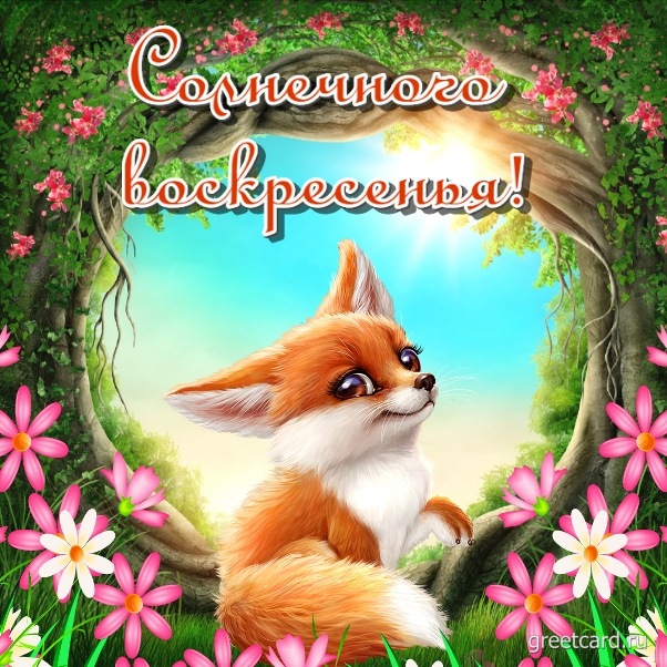 Картинка с воскресеньем для коллег с лисой