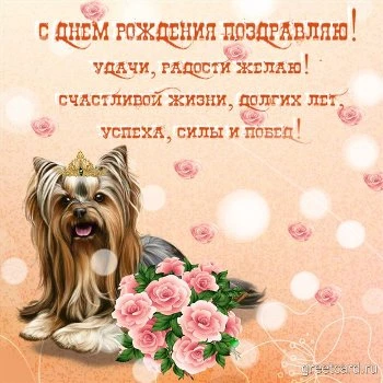 Картинка: поздравляю с днем рождения счастья, радости, добра Картинка: поздравляю с днем рождения счастья, радости, добра