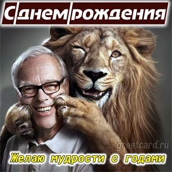 Открытка с днем рождения со львом мужчине Открытка с днем рождения со львом мужчине