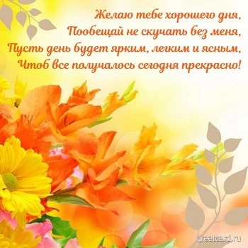 Хорошего дня картинки красивые скачать Хорошего дня картинки и открытки