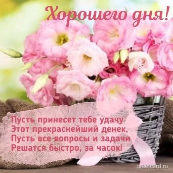 Приятная картинка хорошего дня с цветами Приятная картинка хорошего дня с цветами