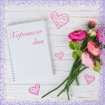 Картинка хорошего дня с необычными цветами Картинка хорошего дня с необычными цветами