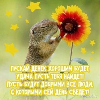 Хорошего дня картинка для настроения прикольная Хорошего дня картинка для настроения прикольная