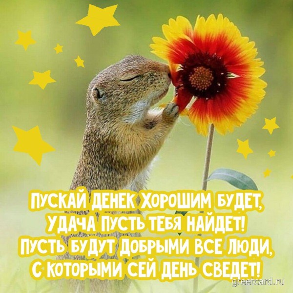 Хорошего дня картинка для настроения прикольная