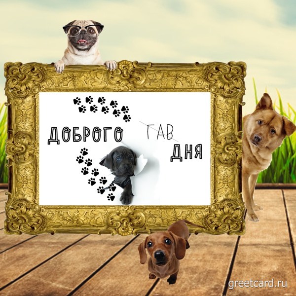 Открытка хорошего дня с песиками