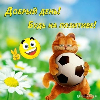 Милая открытка хорошего дня с котиком и ромашками Милая открытка хорошего дня с котиком и ромашками