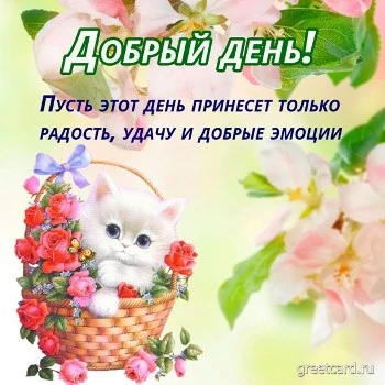 Картинка хорошего дня с нежными цветами и пожеланием Картинка хорошего дня с нежными цветами и пожеланием