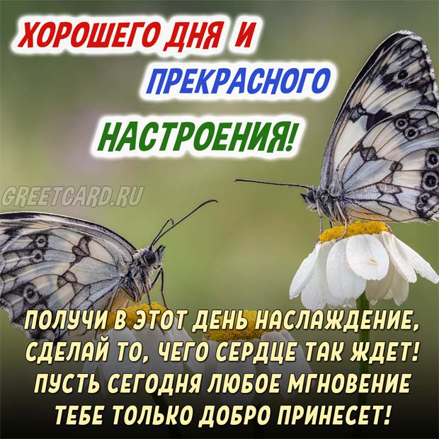 Картинка хорошего дня и чудесного настроения