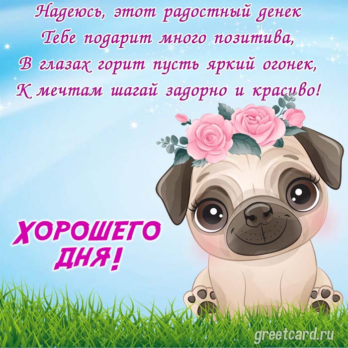 Хорошего дня картинка девушке красивая