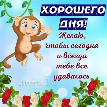 Смешная картинка с пожеланием Хорошего дня Смешная картинка с пожеланием Хорошего дня