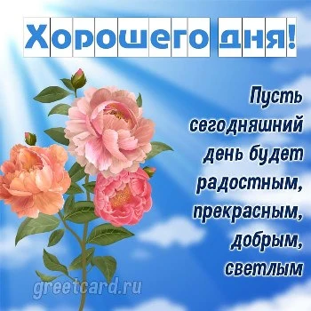 Картинка хорошего дня с цветами и пожеланием Картинка хорошего дня с цветами и пожеланием