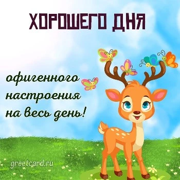 Картинка: хорошего дня и офигенного настроения Картинка: хорошего дня и офигенного настроения