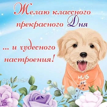 Самая приятная картинка хорошего дня Самая приятная картинка хорошего дня