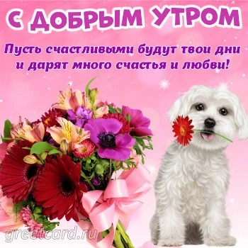 Открытка доброе утро с песиком и букетом цветов Открытка доброе утро с песиком и букетом цветов