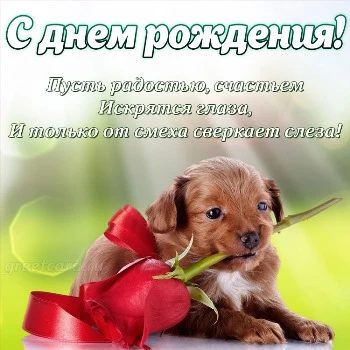 Открытка с днем рождения женщине с щеночком