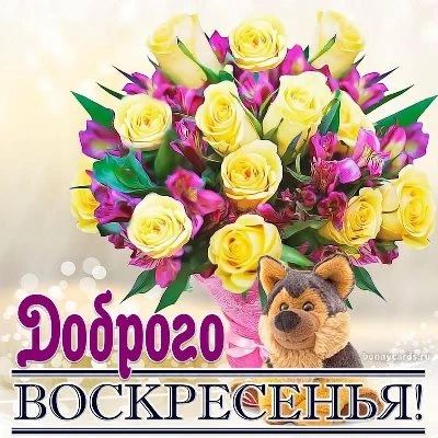 Картинка яркого воскресенья Картинка яркого воскресенья