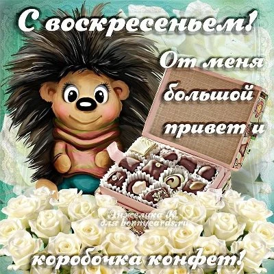 Картинка прекрасного воскресенья