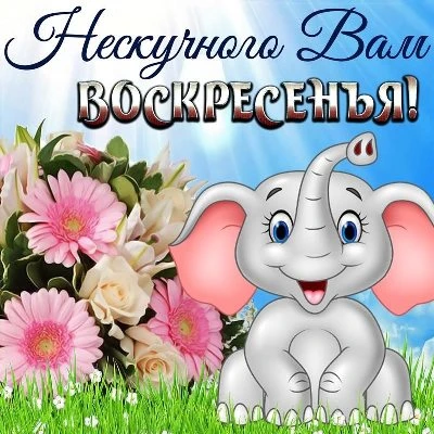 Нежная картинка с воскресеньем Нежная картинка с воскресеньем