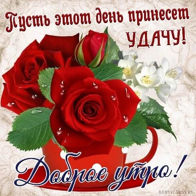 Роскошная открытка с добрым утром Роскошная открытка с добрым утром
