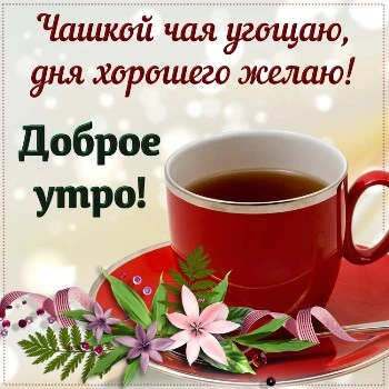 Удивительная открытка с добрым утром