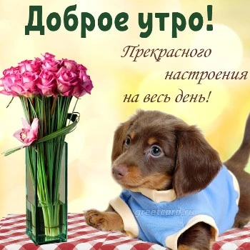 Замечательная открытка с добрым утром Замечательная открытка с добрым утром