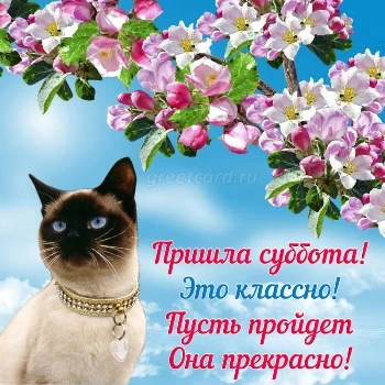 Классная открытка на субботу