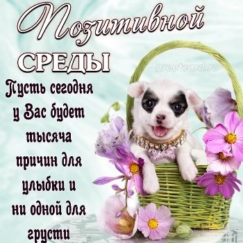Позитивная картинка на среду
