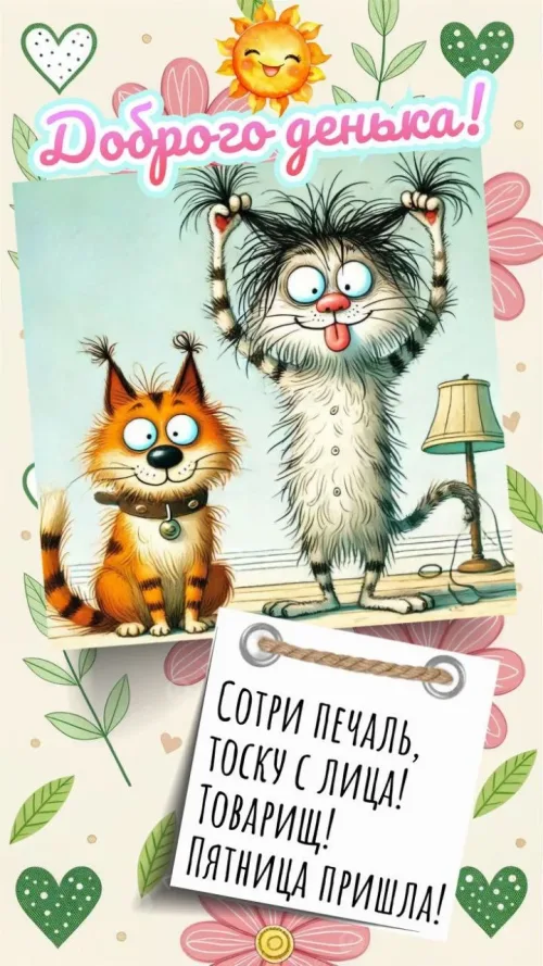 Пятничная открытка с веселыми котами