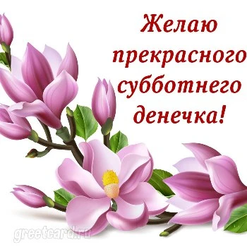 Открытки с субботним утром прикольные Открытки с субботой